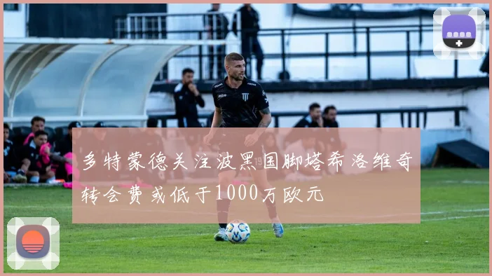 多特蒙德关注波黑国脚塔希洛维奇转会费或低于1000万欧元